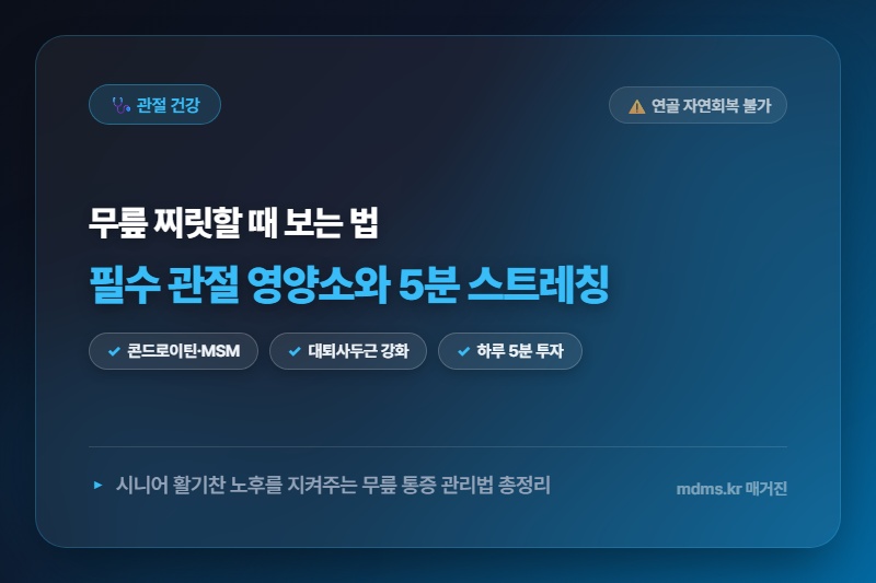 무릎 연골 다 닳기 전에 꼭 챙겨야 할 관절 영양소와 하루 5분 스트레칭
