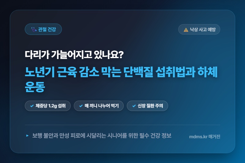 기력 저하 및 보행 불안 시니어 필독! 노년기 근육 감소 막는 흡수율 높은 단백질 섭취법과 하체 운동 비법