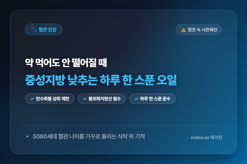 혈관 속 시한폭탄 중성지방 낮추는 하루 한 스푼 기적의 오일과 식습관