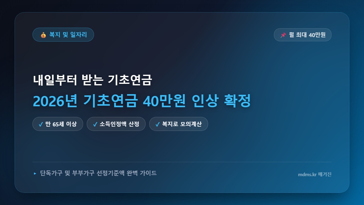 단독 2026년 기초연금 40만원 인상 확정 시기 및 단독가구·부부가구 소득인정액 모의계산 총정리