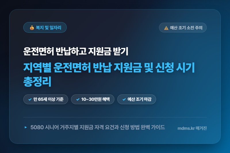모르면 전액 손해! 2026년 고령자 운전면허 반납 지원금 지역별 차이 및 신청 시기 총정리