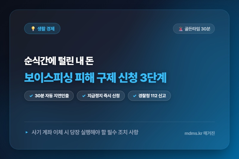 보이스피싱 피해 구제 신청 3단계, 돈을 지키는 지연인출제도 골든타임 총정리