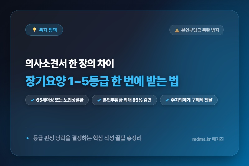 부모님 장기요양등급 1~5등급 한 번에 받는 의사 소견서 작성 꿀팁 총정리